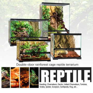 Deluxe Reptile Terrarium 45cm x 45cm x 60cm - Amazing Amazon